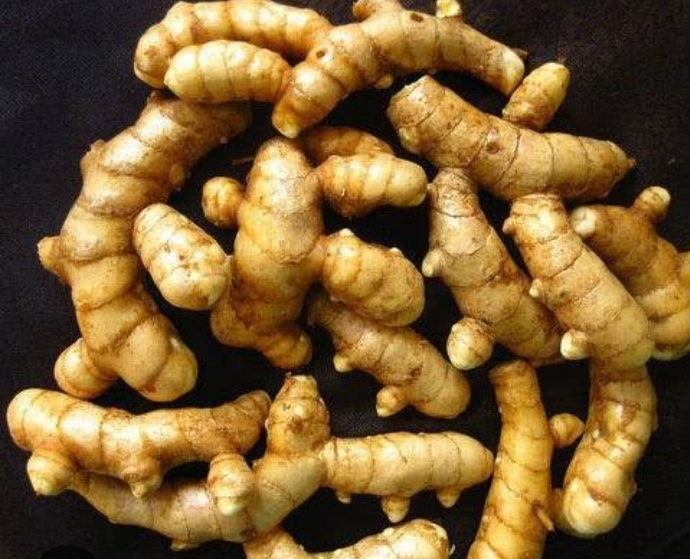 Mango Ginger – മാങ്ങാ ഇഞ്ചി (Curcuma Amada) -250 grams